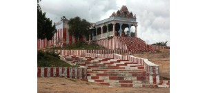 திருச்சுனை 